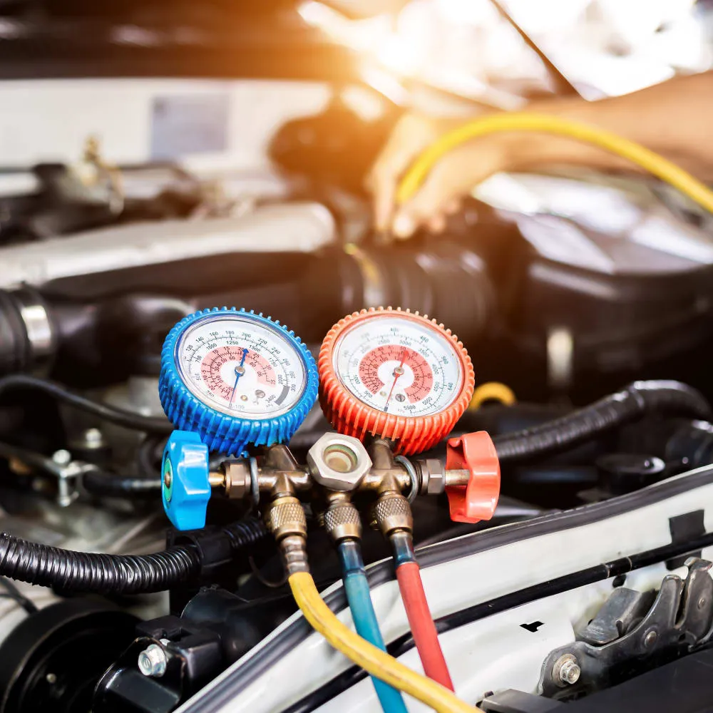 1320300999 blsoi1 1000x1000