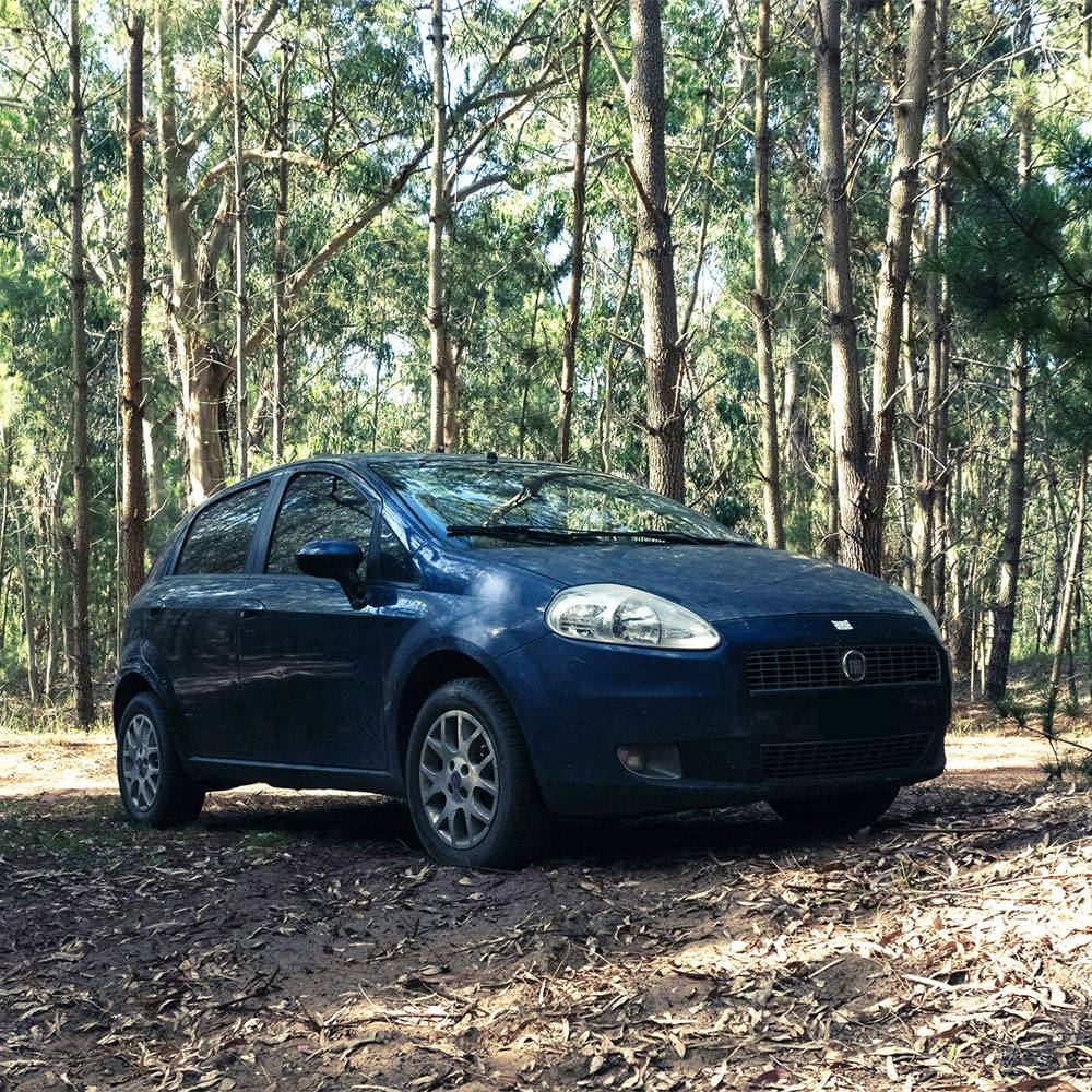 Fiat Repair and Service in Woodstock GA