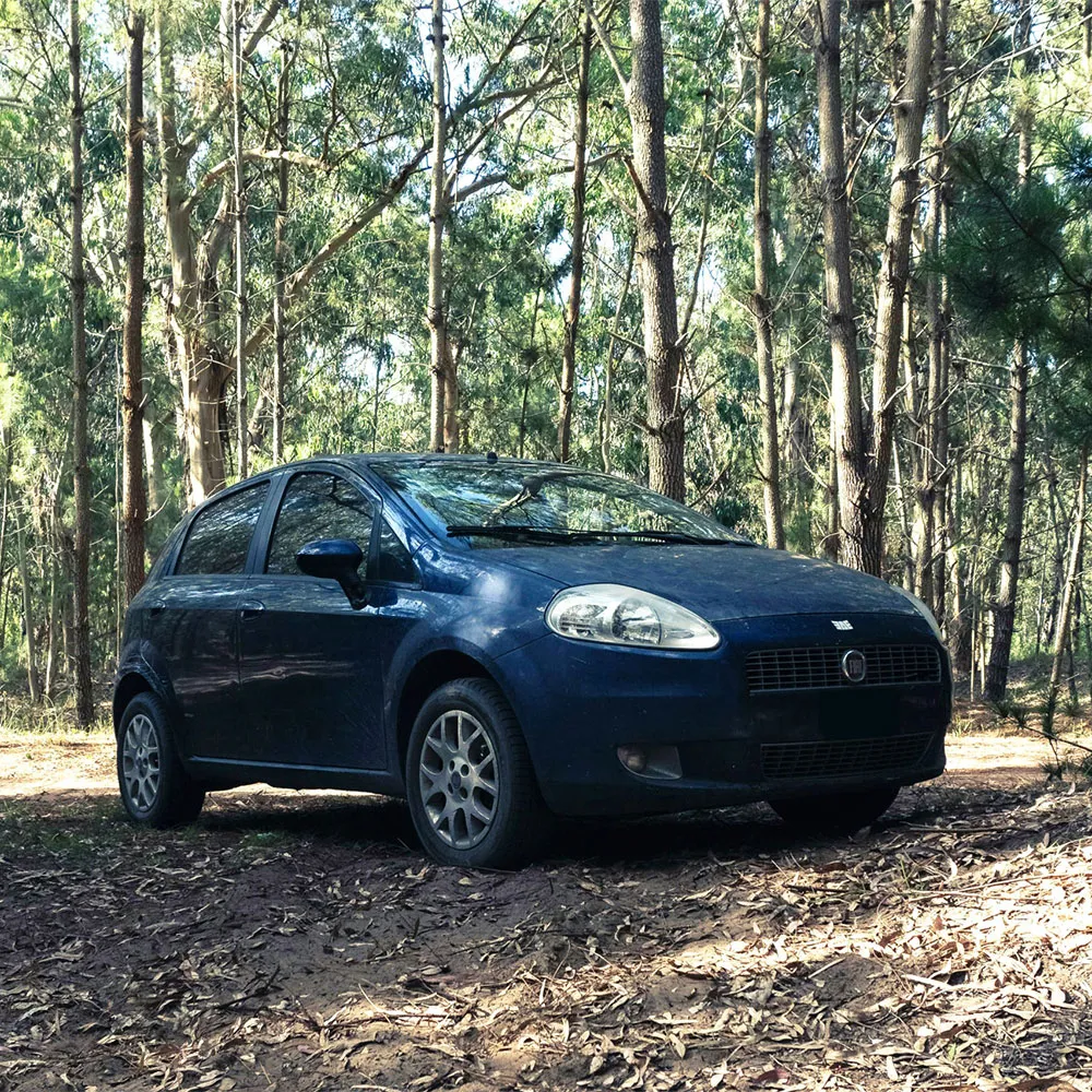 Fiat Repair and Service in Woodstock GA